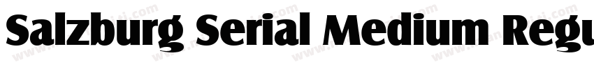 Salzburg Serial Medium Regular字体转换